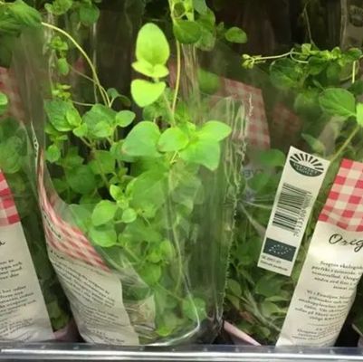 Percetakan khusus Sleeve Film BOPP Jelas Untuk Bungkus Bunga Dan Tanaman