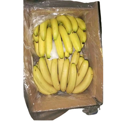 Tas Liner Kardus Terbuka Sayuran Polyethylene Poly Liner Bags Dengan Lubang