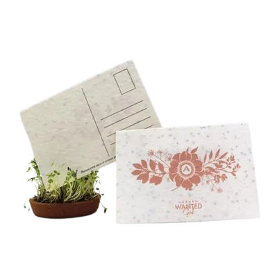 Huruf Biji Kertas Disematkan Kartu Cetak Biji Herbal Kertas