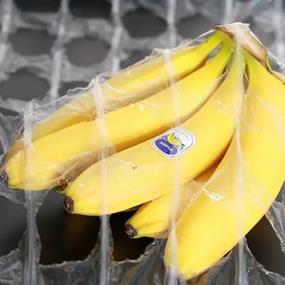 Food And Plant Wrap LDPE Stretch Film 500mm X 1420m dengan 250% elongasi dan bahan tahan lama